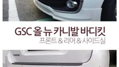 올뉴카니발 리무진 TV 화질 후기! ✨꿀팁 대방출✨